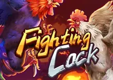 Fighting Cock